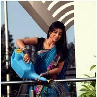 Shriya Cute Saree Images | Picture 522974