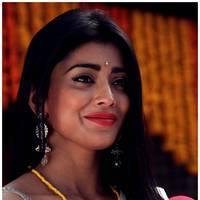 Shriya Cute Saree Images | Picture 522816
