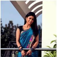 Shriya Cute Saree Images | Picture 522975