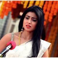 Shriya Cute Saree Images | Picture 522818