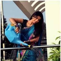 Shriya Cute Saree Images | Picture 522980