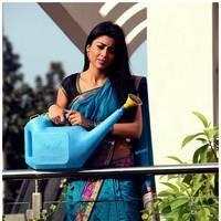 Shriya Cute Saree Images | Picture 522981