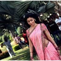 Shriya Cute Saree Images | Picture 522983