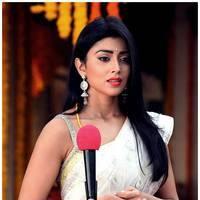 Shriya Cute Saree Images | Picture 522826