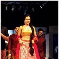 Catherine Tresa Ramp Walk At Hyderabad Fashion Week Photos | Picture 523090