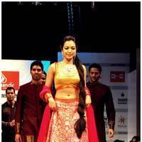 Catherine Tresa Ramp Walk At Hyderabad Fashion Week Photos | Picture 523093