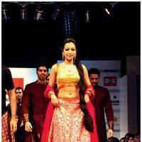 Catherine Tresa Ramp Walk At Hyderabad Fashion Week Photos | Picture 523104