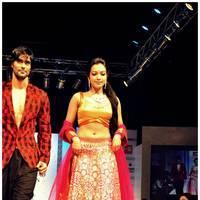 Catherine Tresa - Hyderabad Fashion Week Season 3 Photos | Picture 523321