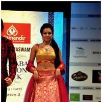 Catherine Tresa - Hyderabad Fashion Week Season 3 Photos | Picture 523376