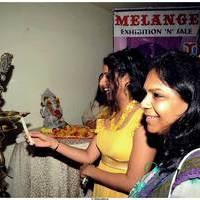 Sravya Reddy Launches Melange Lifestyle Exhibition 2013 Photos | Picture 523517