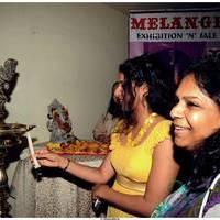 Sravya Reddy Launches Melange Lifestyle Exhibition 2013 Photos