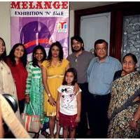 Sravya Reddy Launches Melange Lifestyle Exhibition 2013 Photos | Picture 523529
