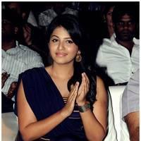 Anjali at Balupu Audio Release Function Photos | Picture 470867