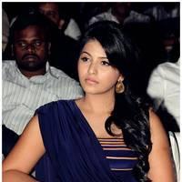 Anjali at Balupu Audio Release Function Photos | Picture 470880