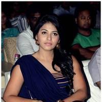 Anjali at Balupu Audio Release Function Photos | Picture 470906