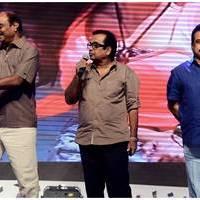 Balupu Audio Release Photos | Picture 470622