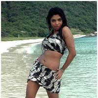 Meghana Patel Spicy Images | Picture 472725