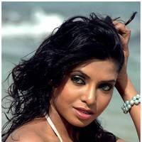 Meghana Patel Spicy Images | Picture 472731