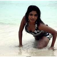 Meghana Patel Spicy Images | Picture 472765