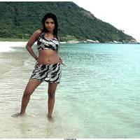 Meghana Patel Spicy Images | Picture 472780