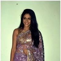 Lavanya Photos in Saree at Cinemaa Mahila Awards | Picture 478236