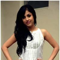 Priya Banerjee Cute Images at Kiss Movie Trailer Launch | Picture 482073
