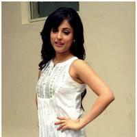 Priya Banerjee Cute Images at Kiss Movie Trailer Launch | Picture 482083