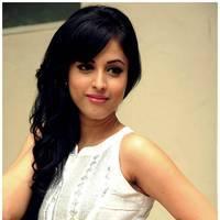 Priya Banerjee Cute Images at Kiss Movie Trailer Launch | Picture 482093