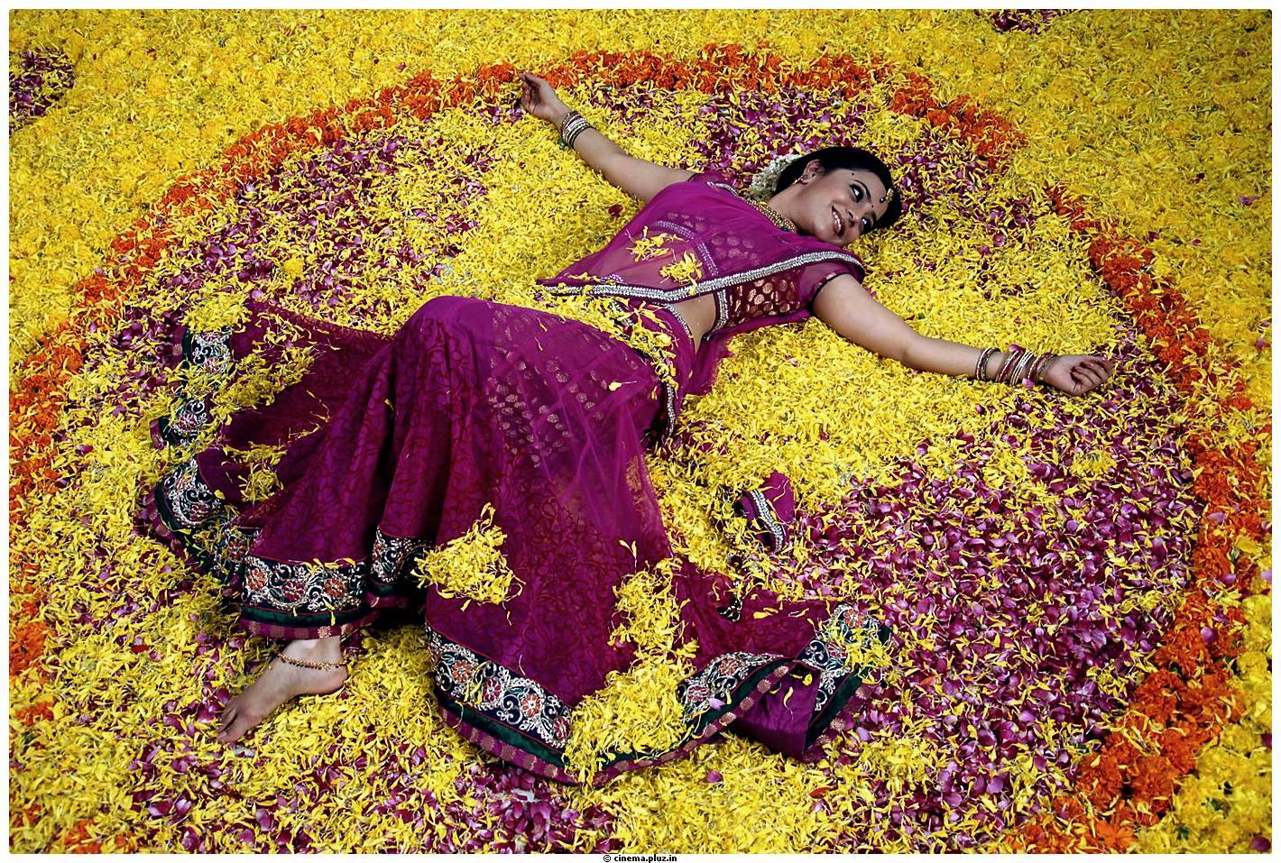NIsha Agarwal Beautiful Half Saree Images | Picture 484957