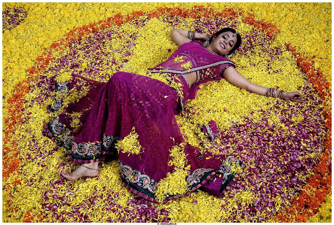 NIsha Agarwal Beautiful Half Saree Images | Picture 484978
