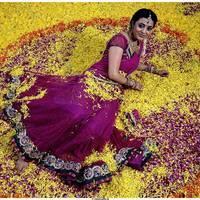 NIsha Agarwal Beautiful Half Saree Images | Picture 484961