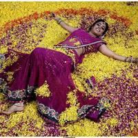 NIsha Agarwal Beautiful Half Saree Images | Picture 484963