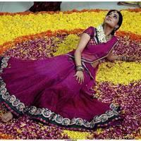 NIsha Agarwal Beautiful Half Saree Images | Picture 484977