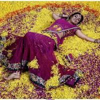 NIsha Agarwal Beautiful Half Saree Images | Picture 484978