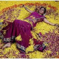 NIsha Agarwal Beautiful Half Saree Images | Picture 484983