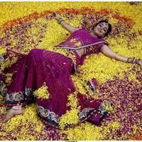 NIsha Agarwal Beautiful Half Saree Images | Picture 484985