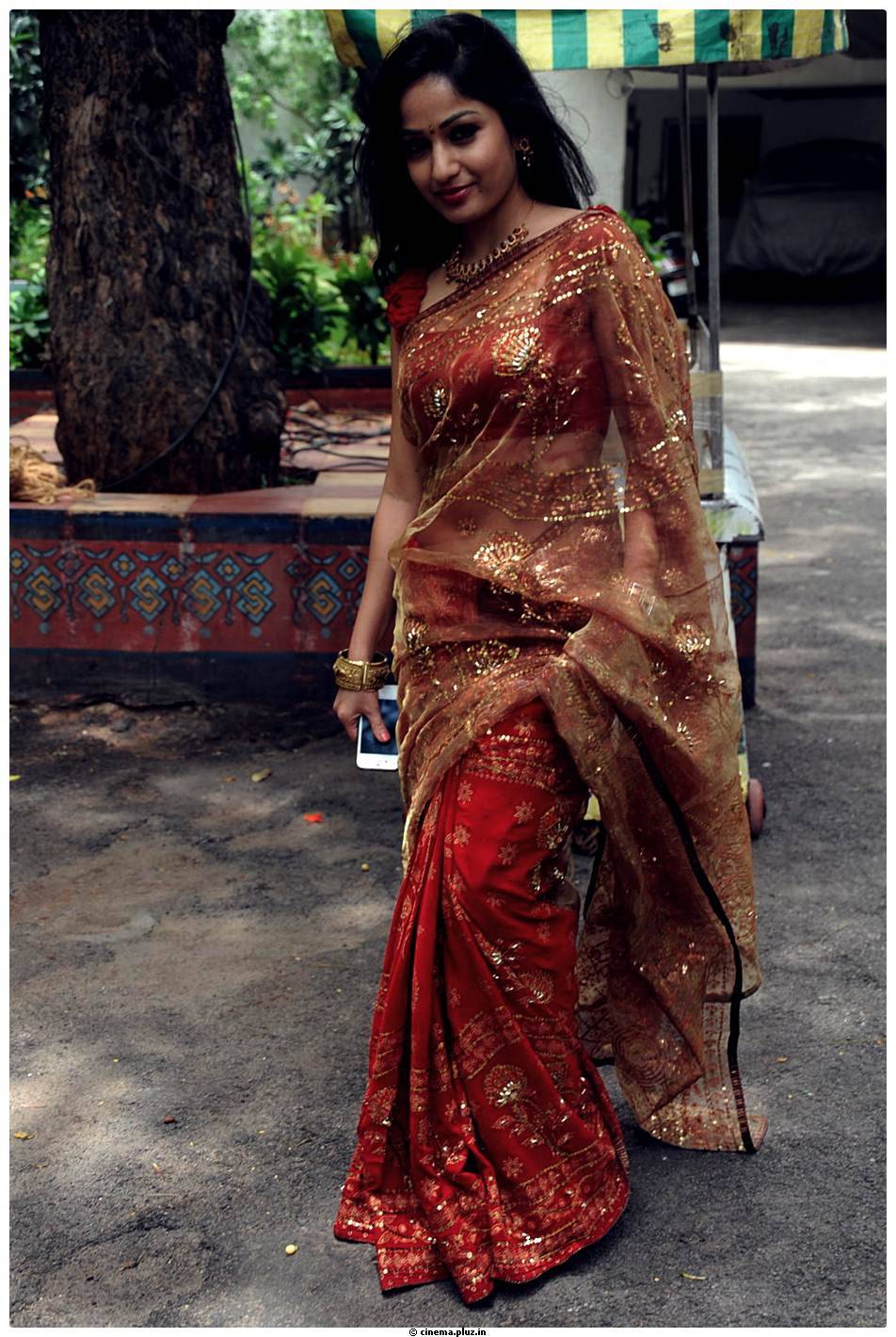 Madhavi Latha Latest Saree Images | Picture 487898