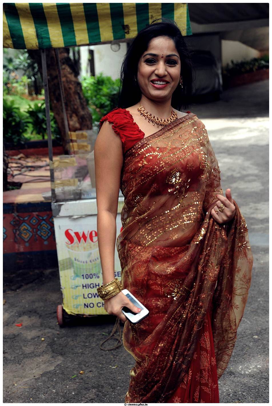 Madhavi Latha Latest Saree Images | Picture 487931