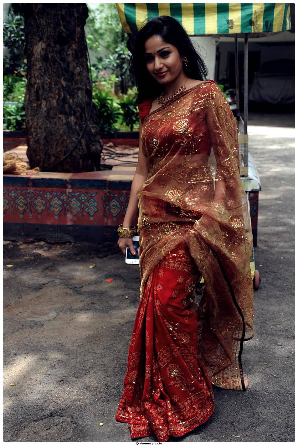 Madhavi Latha Latest Saree Images | Picture 487958