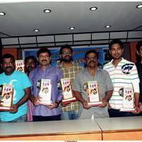 Saradaga Ammaitho Movie Platinum Disc Function Photos | Picture 487995