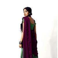 Geetha Viswanathan Traditional Photos | Picture 489873