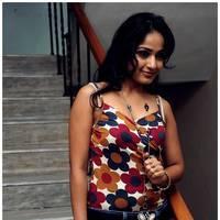 Madhavi Latha Hot Images at Ela Cheppanu Movie Audio Release | Picture 490307