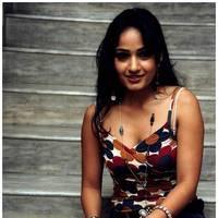 Madhavi Latha Hot Images at Ela Cheppanu Movie Audio Release | Picture 490311