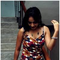 Madhavi Latha Hot Images at Ela Cheppanu Movie Audio Release | Picture 490325
