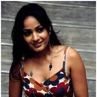 Madhavi Latha Hot Images at Ela Cheppanu Movie Audio Release | Picture 490331