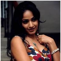 Madhavi Latha Hot Images at Ela Cheppanu Movie Audio Release | Picture 490336