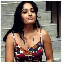 Madhavi Latha Hot Images at Ela Cheppanu Movie Audio Release | Picture 490342