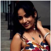 Madhavi Latha Hot Images at Ela Cheppanu Movie Audio Release | Picture 490364
