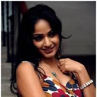 Madhavi Latha Hot Images at Ela Cheppanu Movie Audio Release | Picture 490365