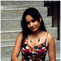 Madhavi Latha Hot Images at Ela Cheppanu Movie Audio Release | Picture 490371